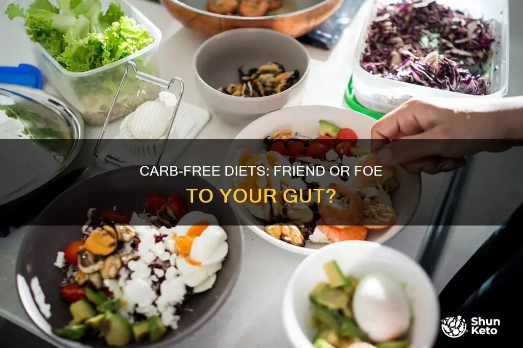 does a no carb diet cause diarrhea
