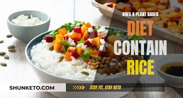 Rice and Plants: Friends or Foes in Diet?