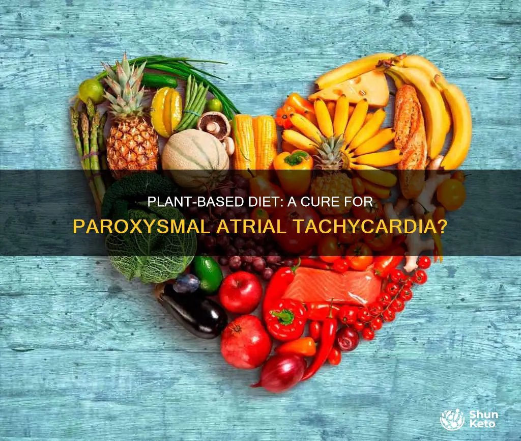 does a plant based diet cure paroxysmal atrial tachycardia