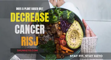 Plant-Based Diets: Cancer Risk Reduction Strategy?