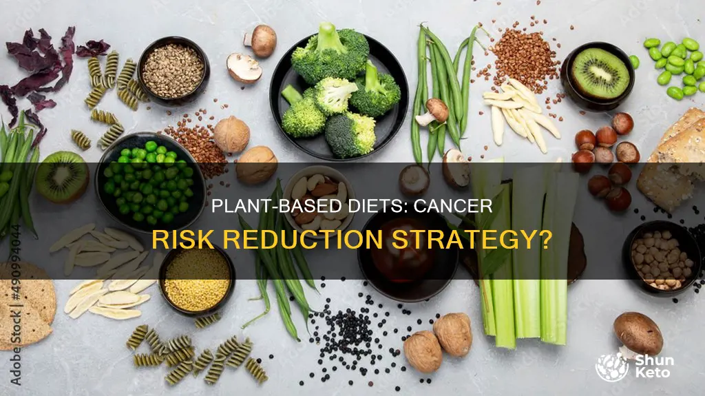 does a plant based diet decrease cancer risj