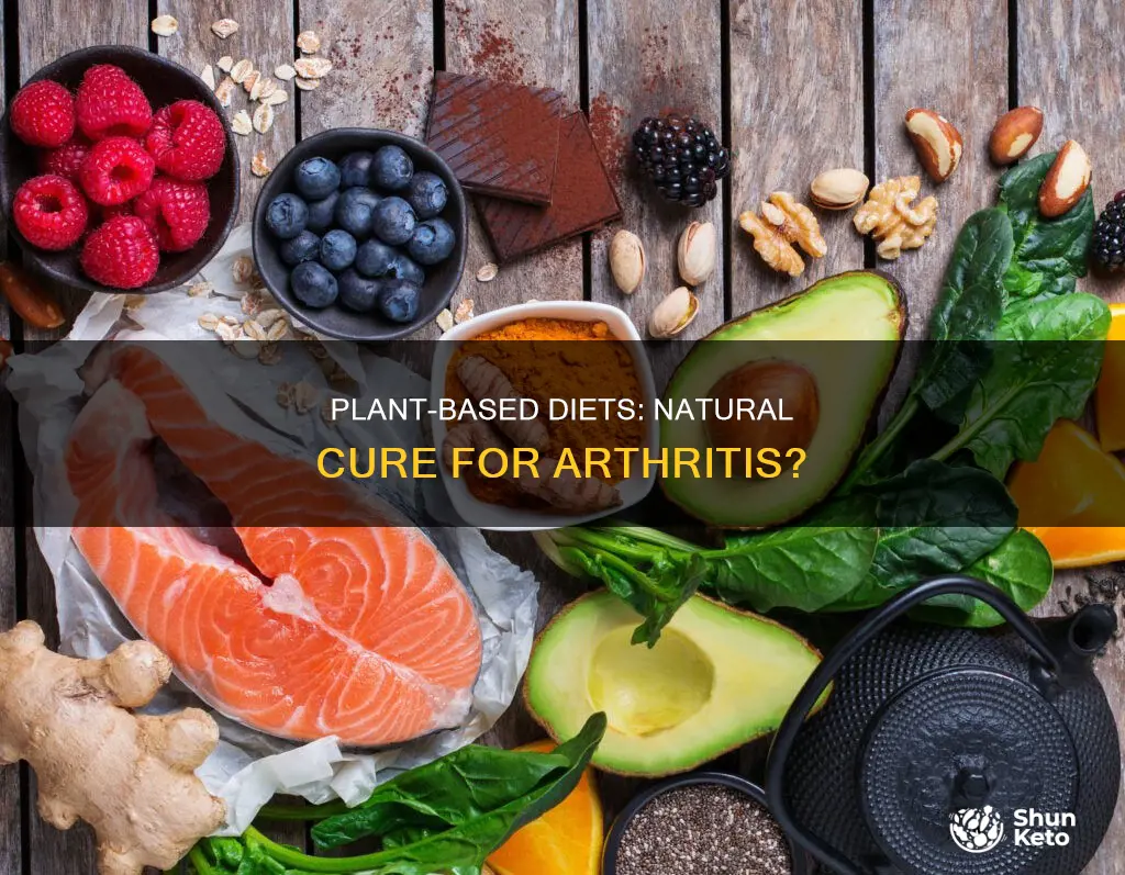 does a plant based diet help arthritis