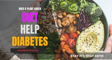 Plant-Based Diets: A Natural Remedy for Diabetes?