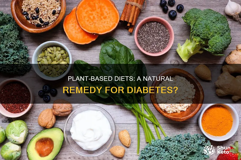 does a plant based diet help diabetes