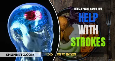 Plant-Based Diets: Stroke Prevention and Recovery