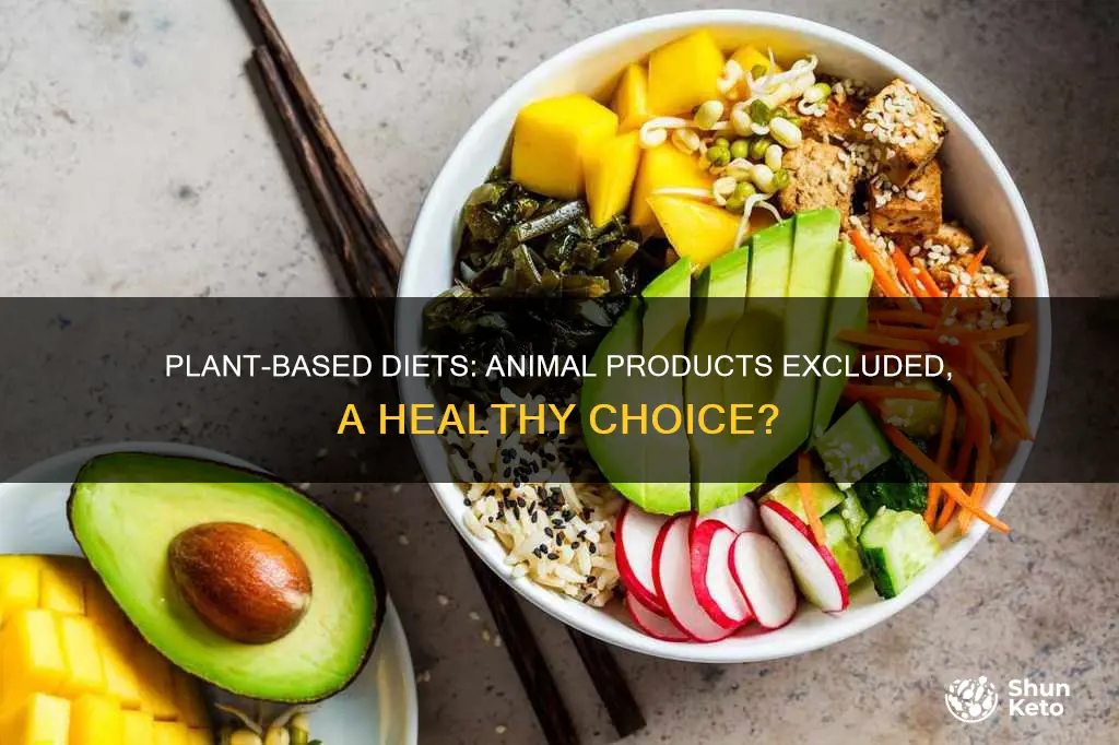 does a plant based diet include animal