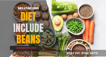 Plant-Based Diets: Are Beans Allowed or Restricted?