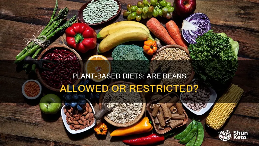 does a plant based diet include beans