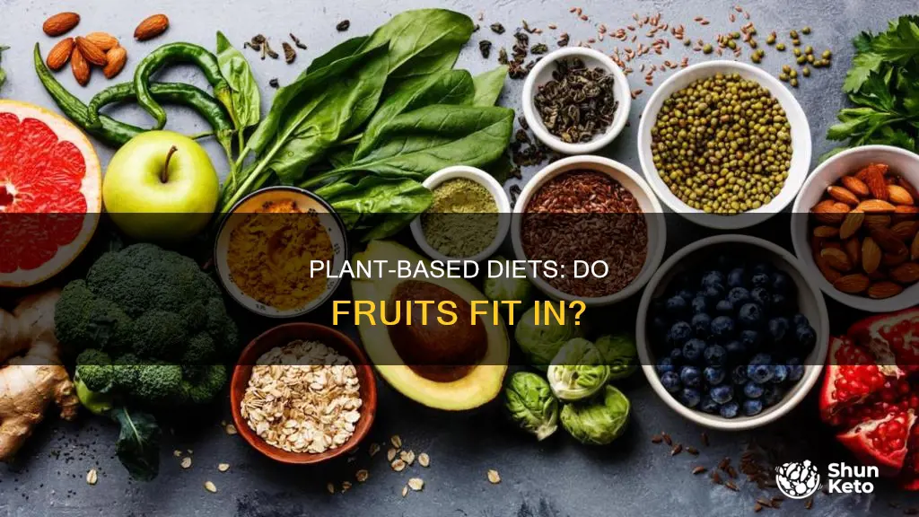 does a plant based diet include fruit