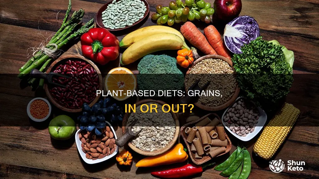 does a plant based diet include grains