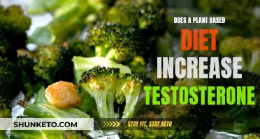 Plant-Based Diets: Testosterone-Boosting Power?