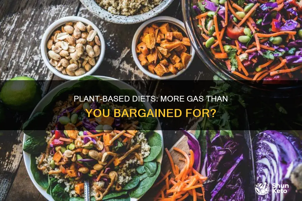 does a plant based diet make you fart more