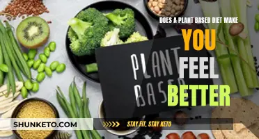 Plant-Based Diets: Feeling Better, Living Better