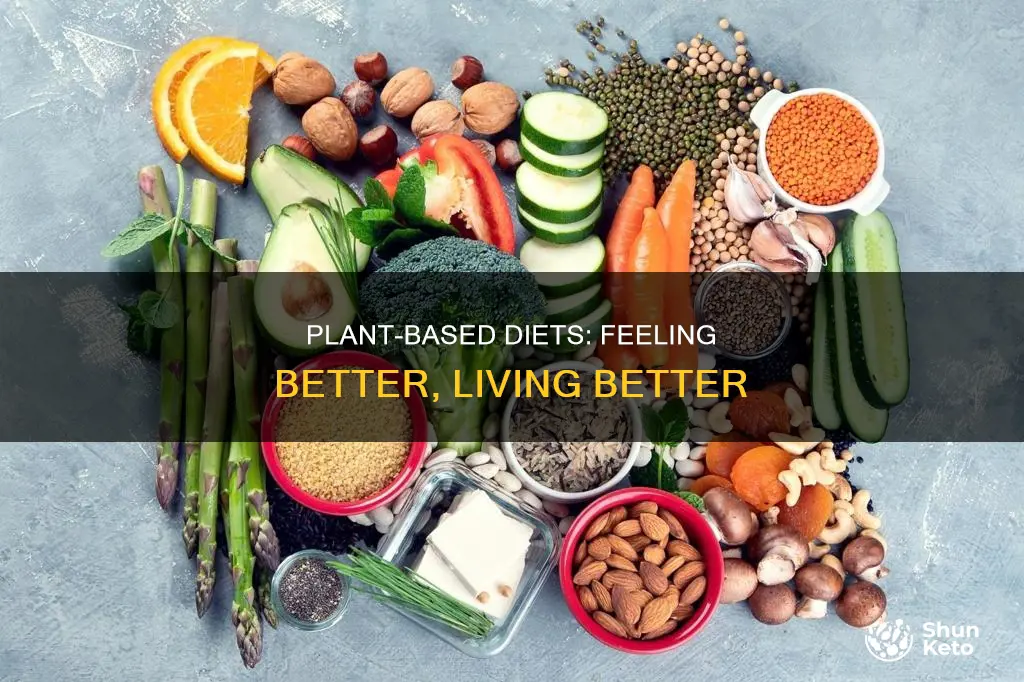 does a plant based diet make you feel better