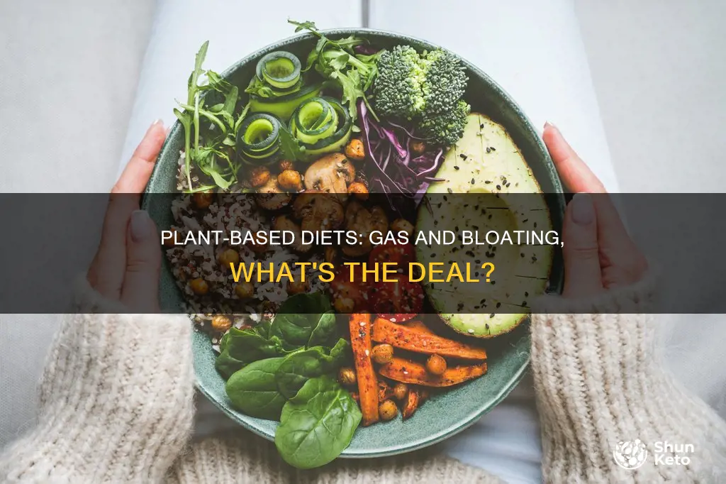 does a plant based diet make you gassy