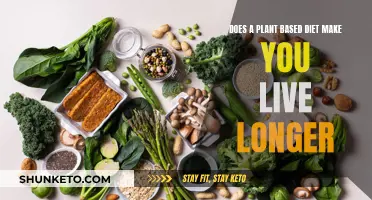 Plant-Based Diets: Longevity and Health Benefits