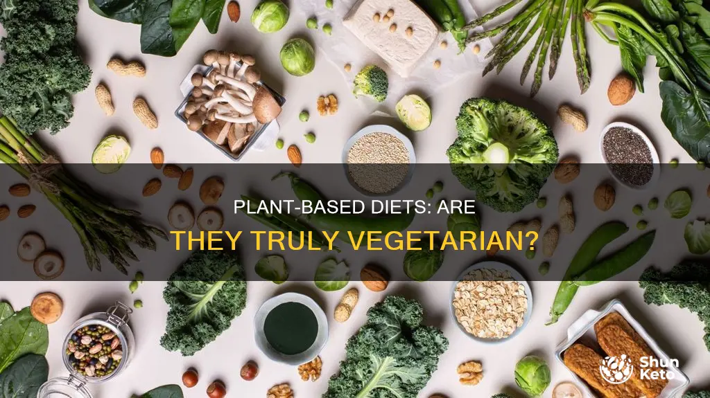 does a plant based diet meal vegetarian