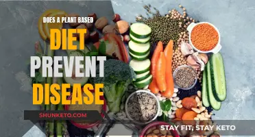 Plant-Based Diets: Disease Prevention Powerhouses?