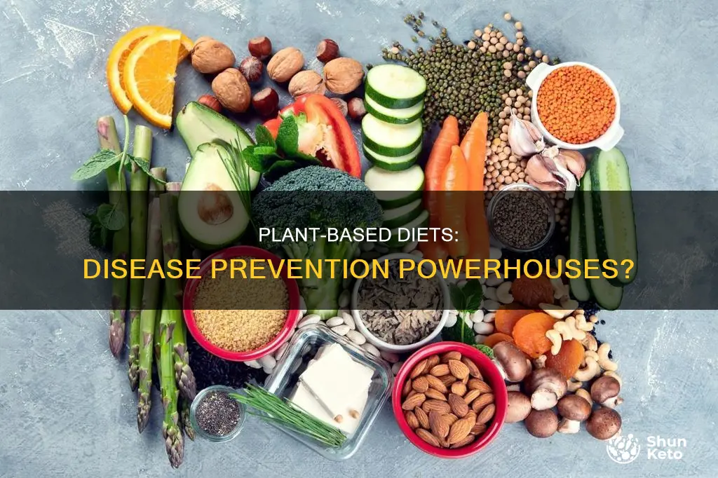 does a plant based diet prevent disease