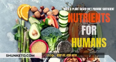 Plant-Based Diets: Nutritious or Nutritionally Negligent?