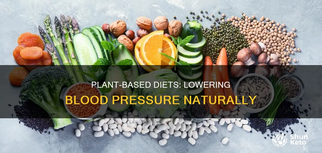 does a plant based diet reduce blood pressure