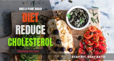 Plant-Based Diets: Effective Way to Lower Cholesterol?