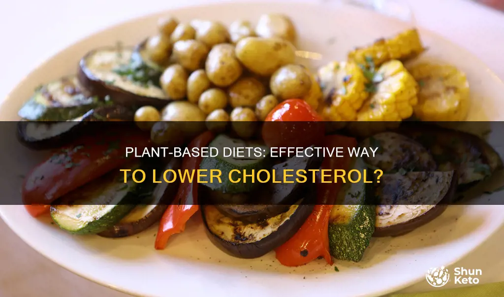 does a plant based diet reduce cholesterol