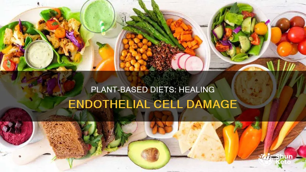 does a plant based diet reverse endothelial cell damage