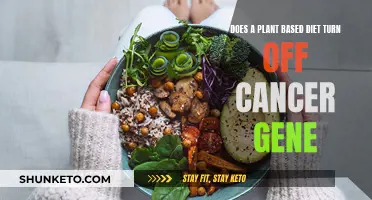 Cancer Gene: Can Plant-Based Diets Be a Solution?