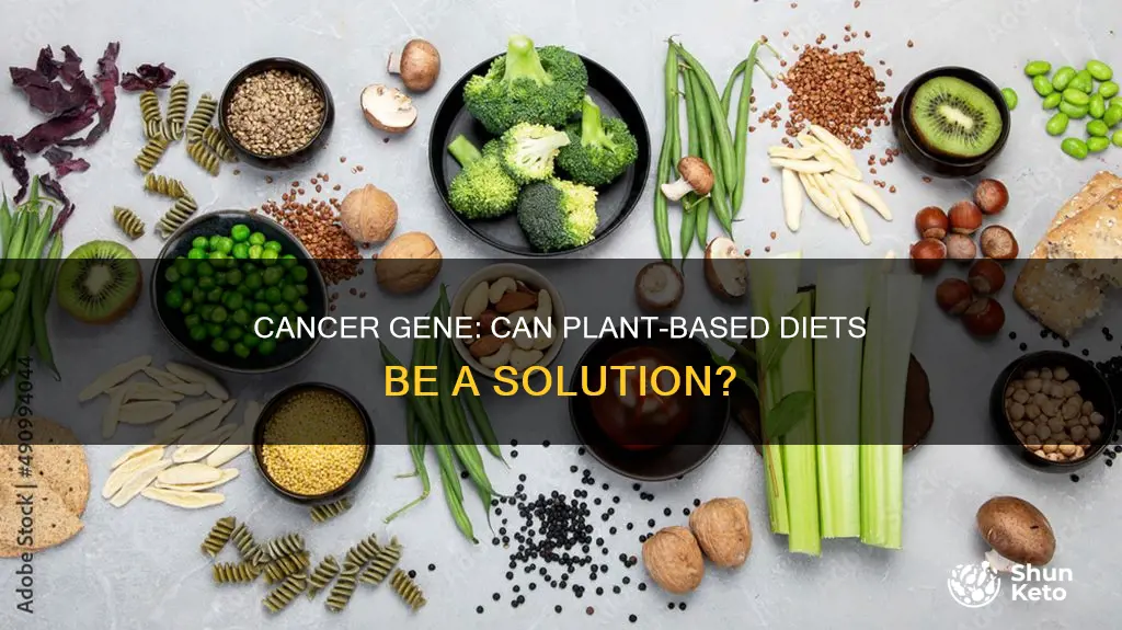 does a plant based diet turn off cancer gene