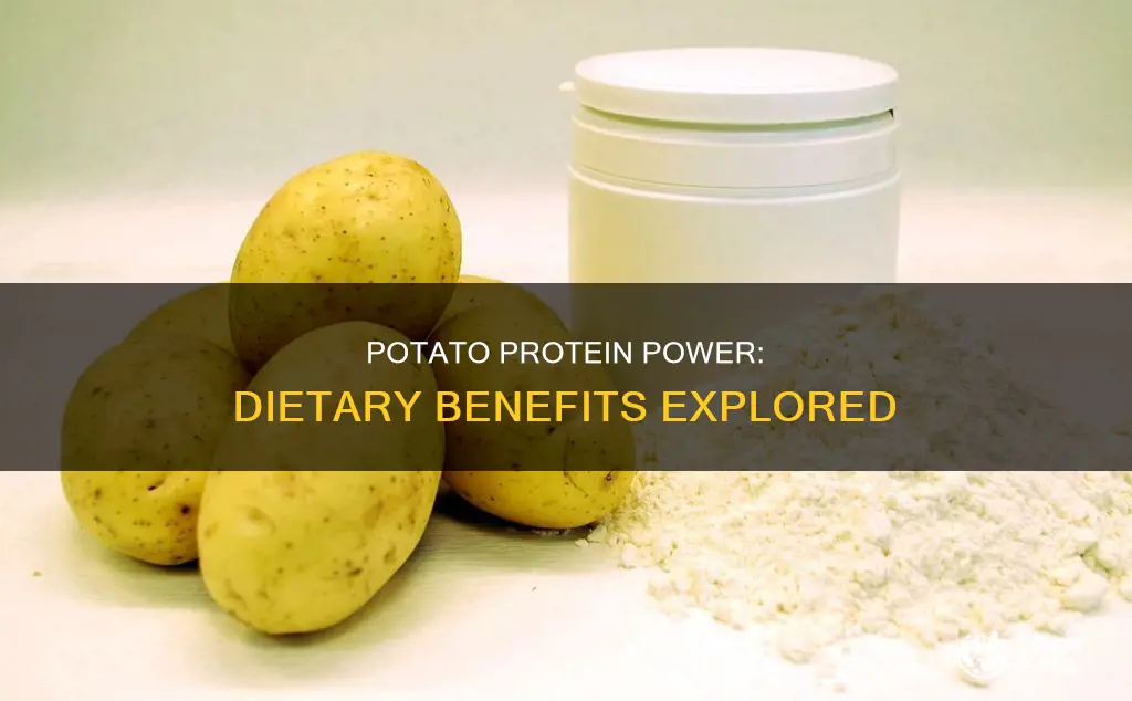 does a potato provide any protein to your diet