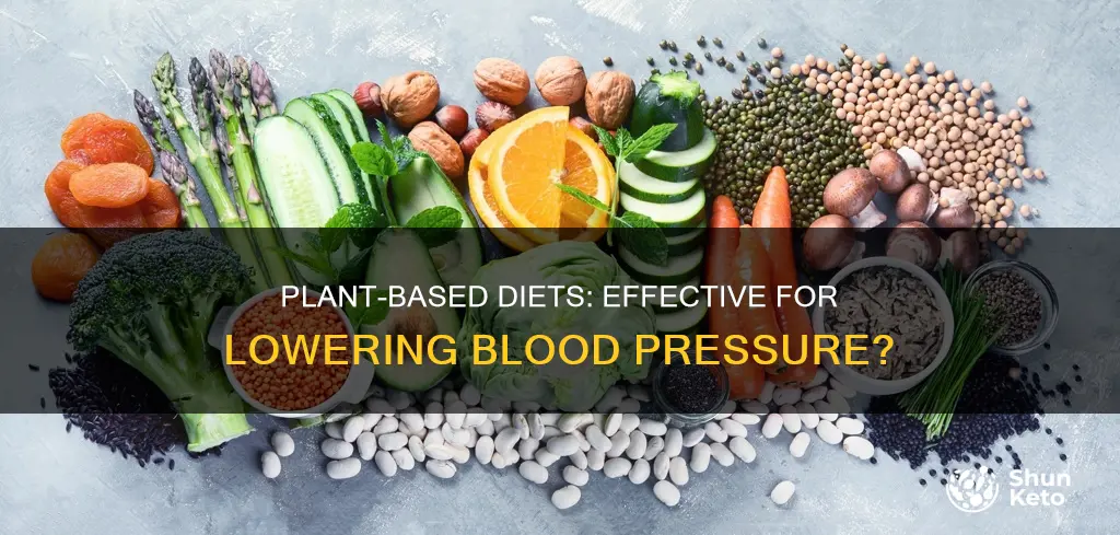 does a primarily plant based diet help decrease bp