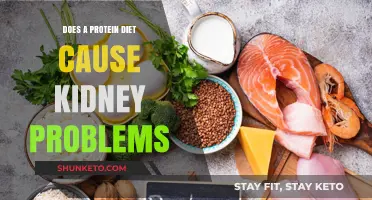 Protein Diets: Kidney Friend or Foe?