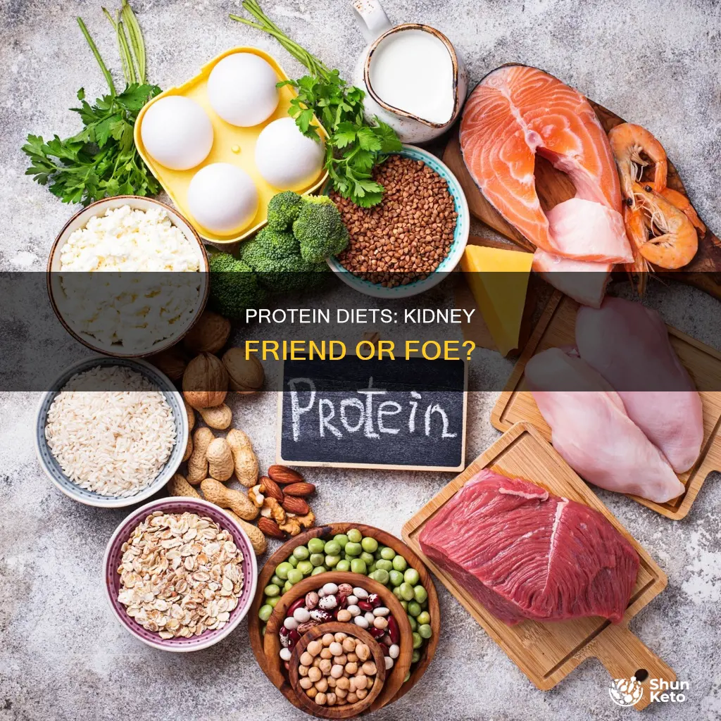 does a protein diet cause kidney problems