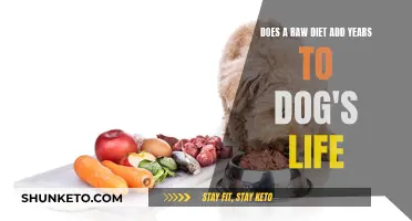 Raw Diets: Can They Extend Your Dog's Lifespan?