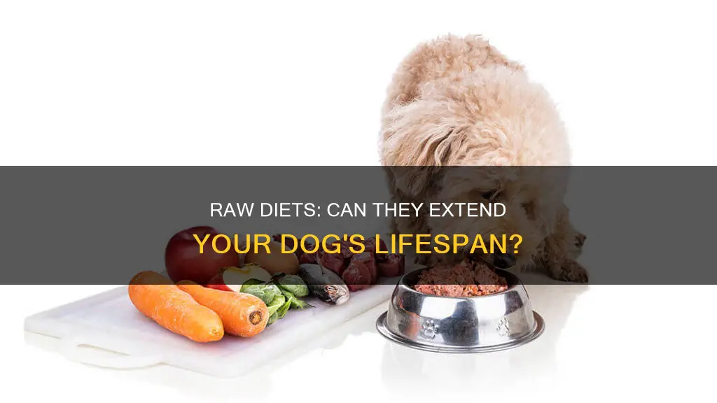 does a raw diet add years to dog