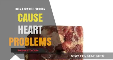 Raw Diets for Dogs: Heart Problems?