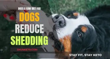 Raw Diet: Reducing Dog Shedding and Promoting Health