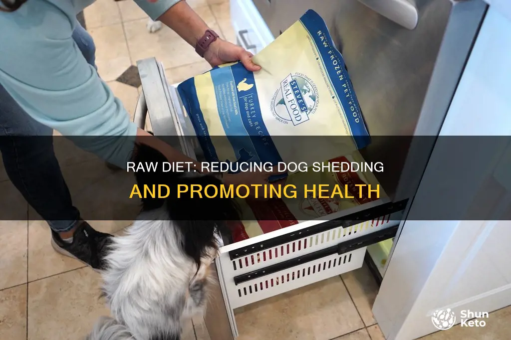 does a raw diet for dogs reduce shedding