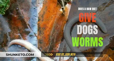 Raw Diets and Worms: A Dog Owner's Concern