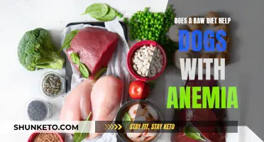 Raw Diet: Anemia Cure for Dogs?