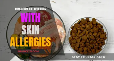 Raw Diet: A Natural Remedy for Dogs' Skin Allergies?