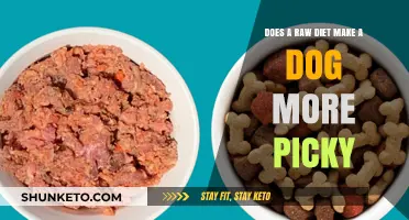 Raw Diet: Making Dogs Picky Eaters?