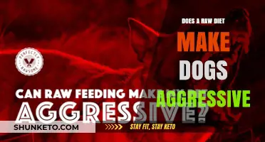 Raw Diets: Aggression in Dogs?