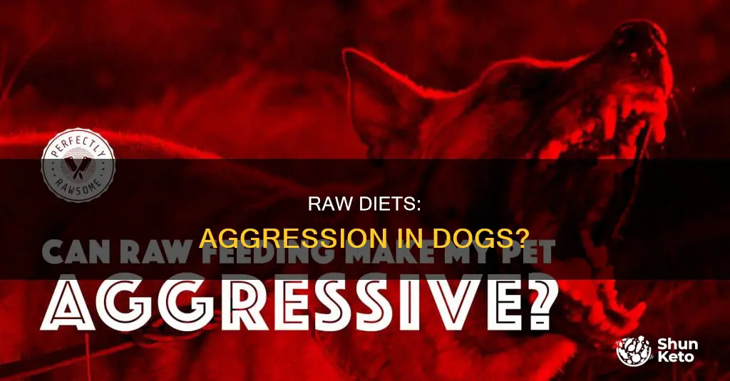 does a raw diet make dogs aggressive