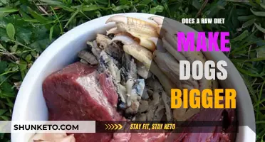 Raw Diet: Does It Make Dogs Bigger?
