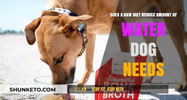 Raw Diets: Do They Affect My Dog's Water Intake?