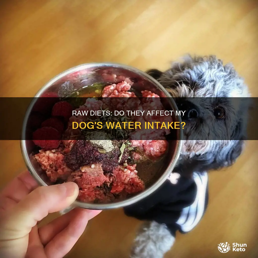 does a raw diet reduce amount of water dog needs