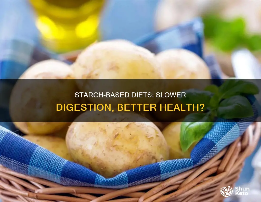 does a starch based diet take longer to digest