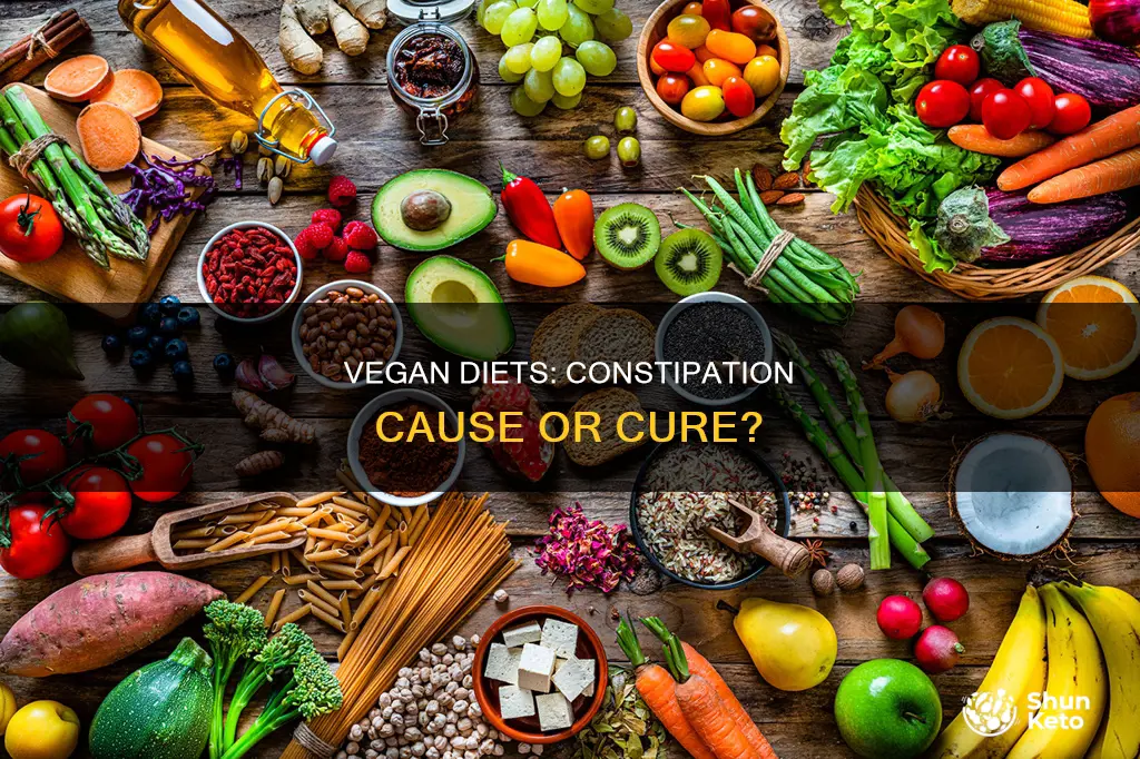 does a vegan diet cause constipation